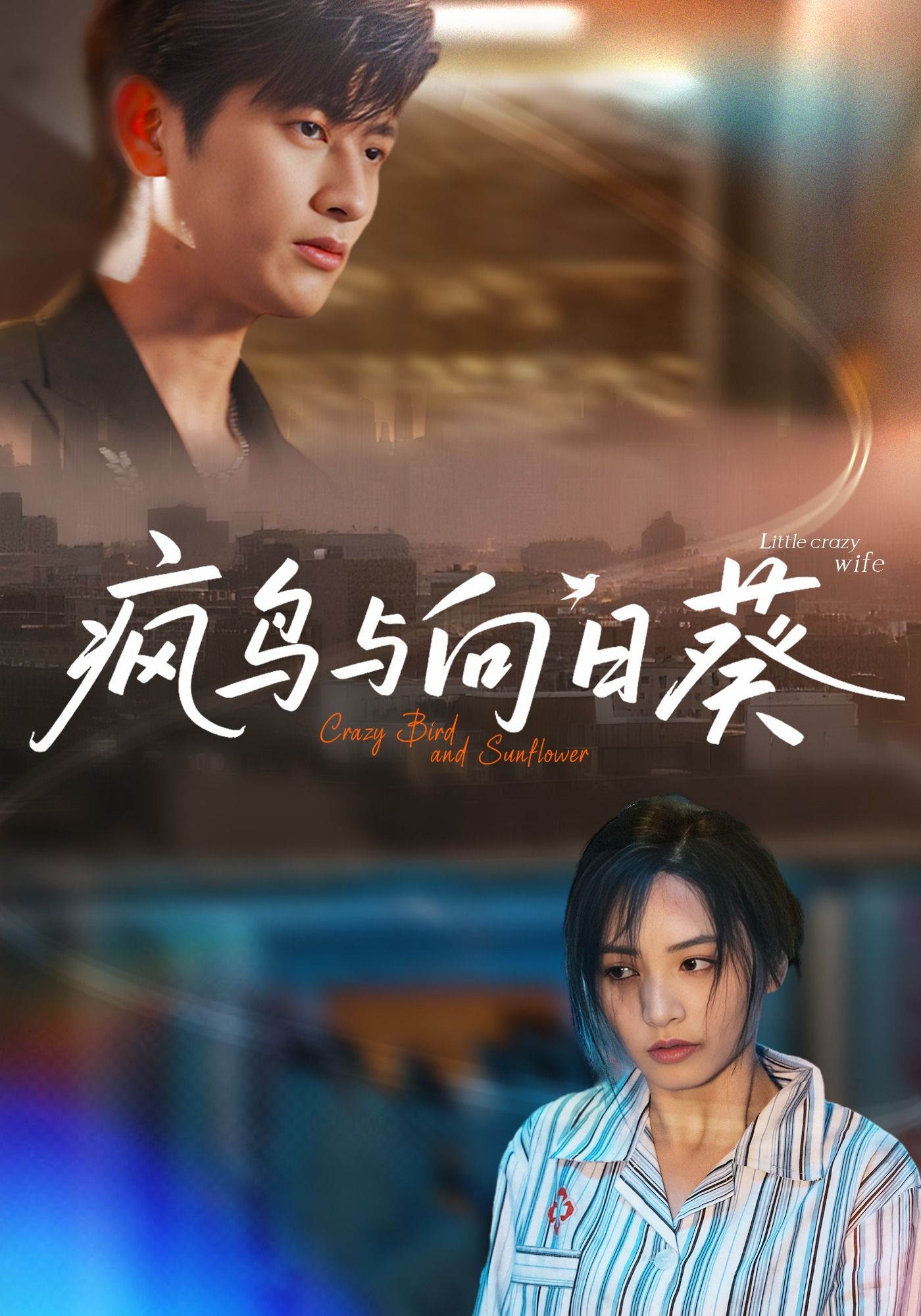 热门短剧疯鸟与向日葵40集韩叙李虹艺主演，全集完整版免费在线观看未删减，百度网盘夸克网盘资源分享下载  第1张