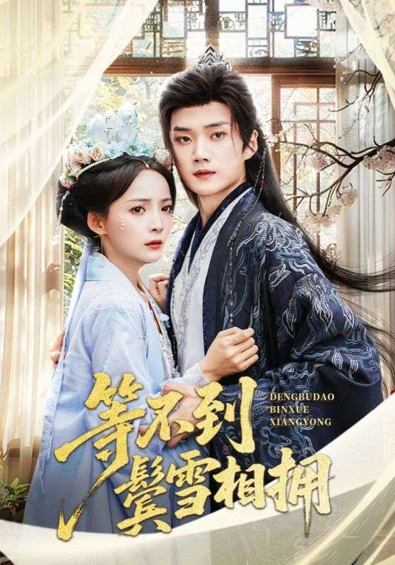 等不到鬓雪相拥61集李蔚蓝许丹主演，全集完整版免费在线观看未删减，百度网盘夸克网盘资源分享下载  第1张