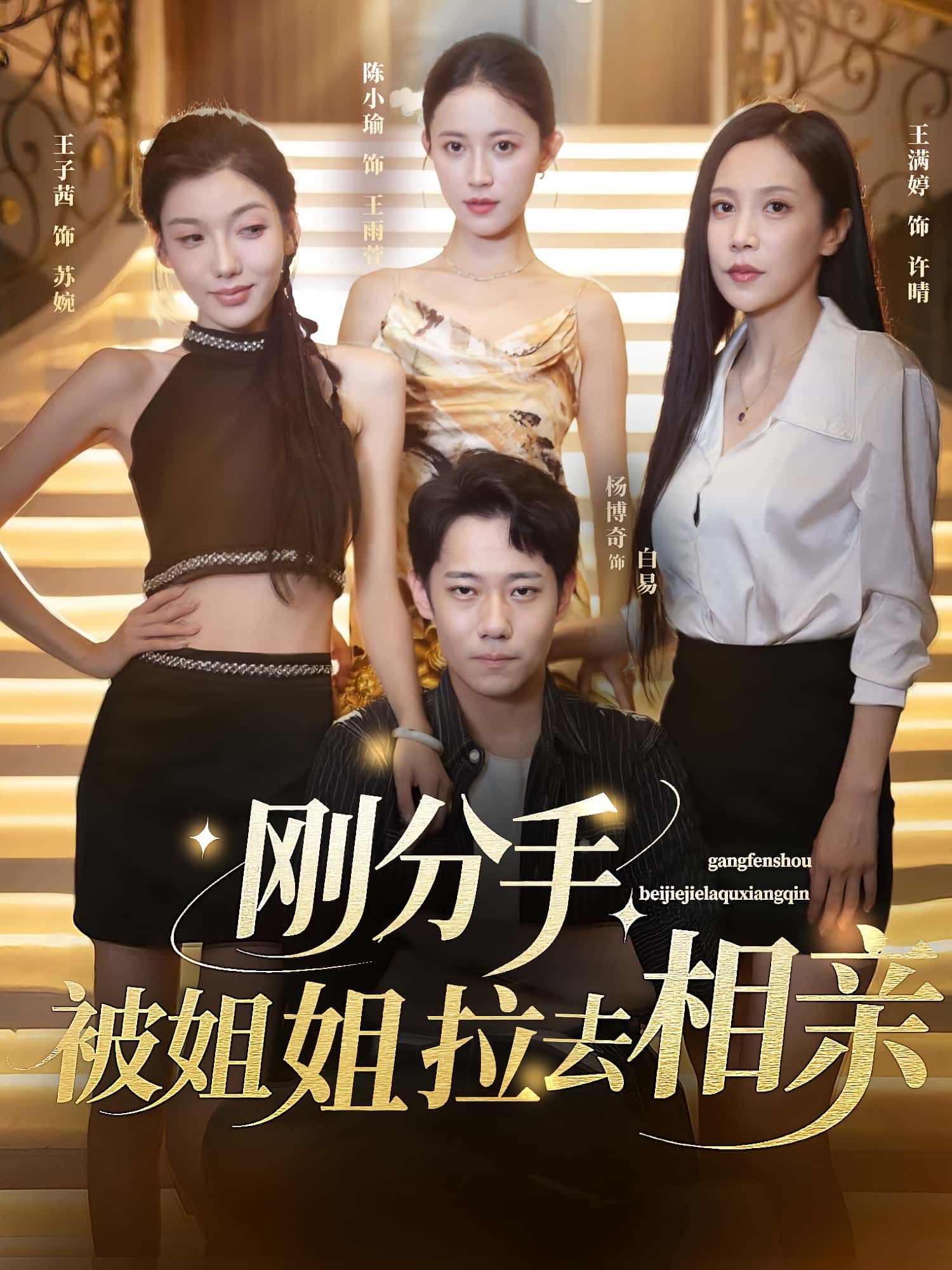 热门短剧刚分手被姐姐拉去相亲73集全集完整版 未删减版极速免费在线观看 百度网盘夸克网盘免费资源下载  第1张