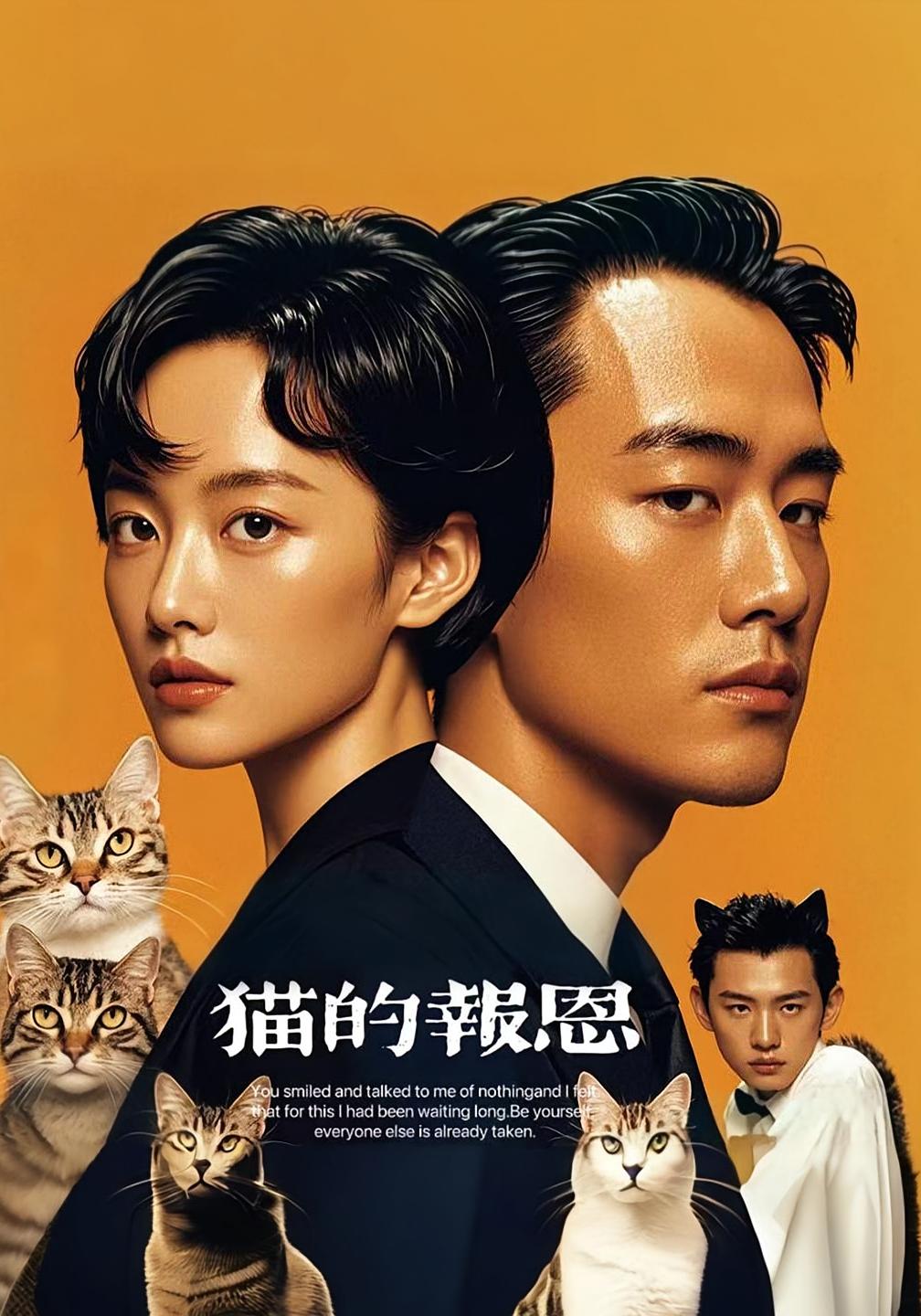 热门短剧猫的报恩60集全集完整版免费在线观看未删减版，百度网盘夸克网盘免费资源分享下载  第1张