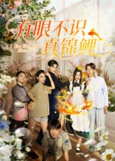 热门短剧有眼不识真锦鲤35集刘凯&尹玲主演，全集完整版免费在线观看未删减，百度网盘夸克网盘资源下载  第1张