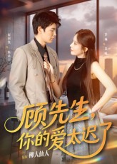 热门短剧顾先生你的爱太迟了祝国凯罗琳主演60集全集完整版未删减，免费无广告在线观看，百度网盘夸克网盘资源分享下载  第1张