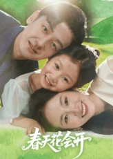 热门短剧《春天花会开（82集）杨映真&向昊》 全集完整版免费在线观看播放未删减版资源，短剧百度网盘夸克网盘资源免费分享下载  第1张