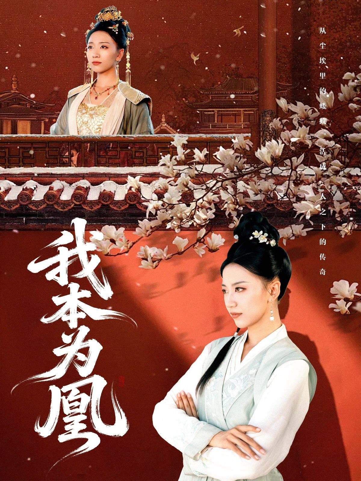 热门短剧我本为凰82集全集傅宇航刘继徽未删减超清版免费在线观看,百度网盘夸克网盘资源下载分享 第1张 热门短剧我本为凰82集全集傅宇航刘继徽未删减超清版免费在线观看,百度网盘夸克网盘资源下载分享 第1张