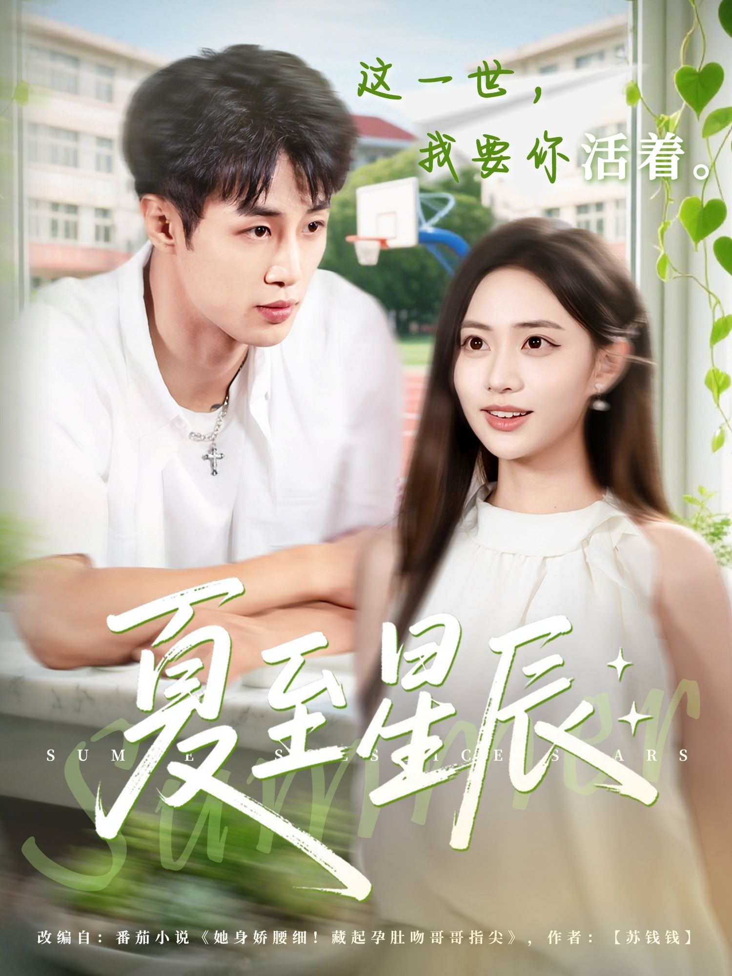 夏至星辰54集全集完整版免费观看在线播放未删减版 申琦黄也玶主演 百度网盘夸克网盘资源分享下载  第1张