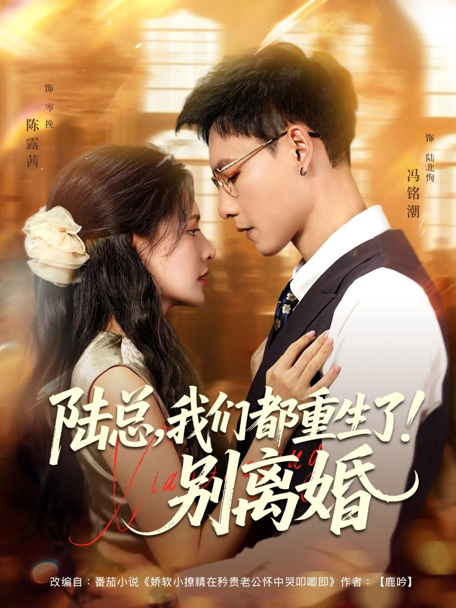 热门短剧陆总我们都重生了别离婚（79集）冯铭潮陈露茜主演，全集完整版未删减免费在线观看，百度网盘夸克网盘资源分享下载  第1张