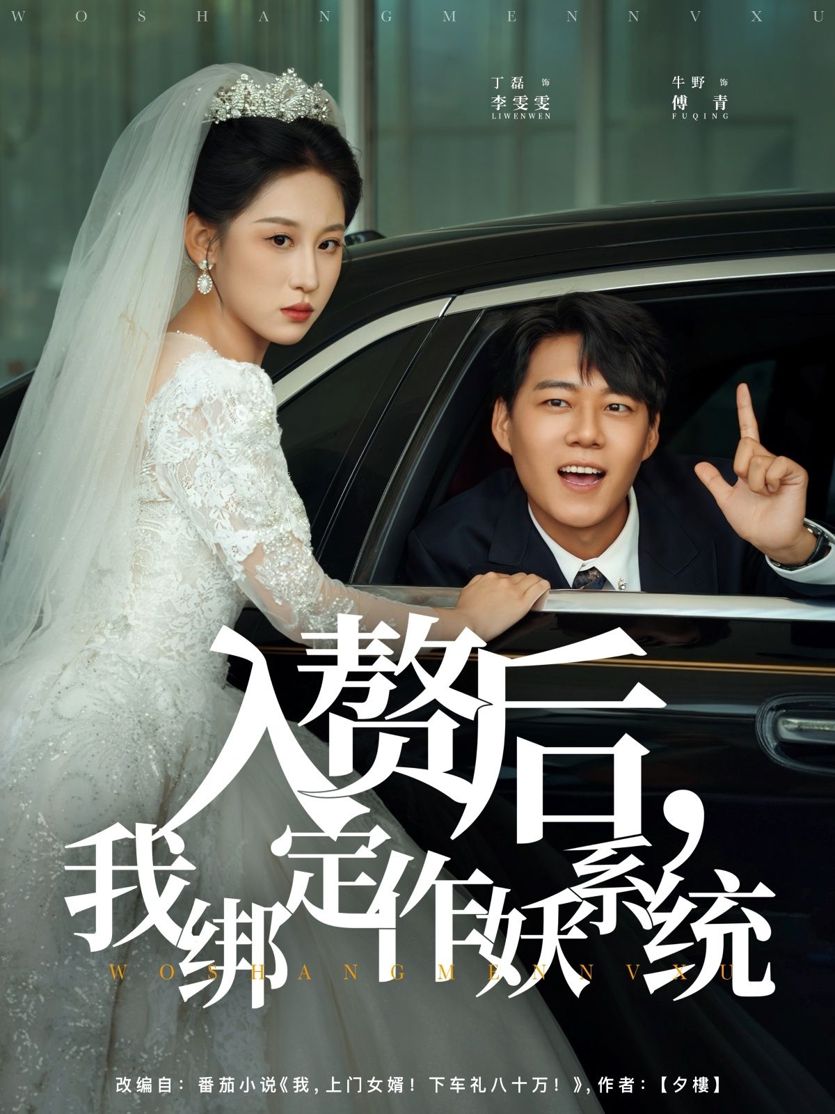 热门短剧入赘后我绑定作妖系统丁磊&牛野主演81集全集完整版高清未删减，免费在线观看播放，百度网盘夸克网盘免费资源分享下载