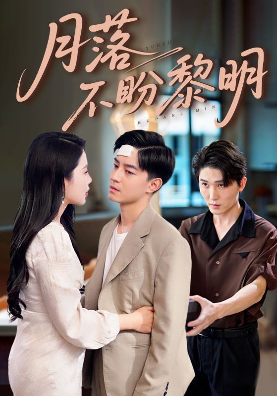 热门短剧月落不盼黎明64集丁海霞&贺龙天全集完整版免费免注册在线观看未删减版，百度网盘夸克网盘免费资源下载