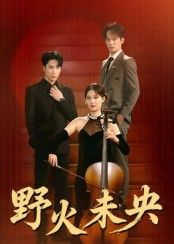 野火未央张旭刘畅主演40集全集免费在线观看未删减版，百度网盘夸克网盘资源秒存下载  第1张