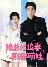 热门短剧陆总忙追妻喜提四萌娃（60集）杨晓婷主演，全集未删减版免费在线观看，百度网盘夸克网盘资源下载分享  第1张