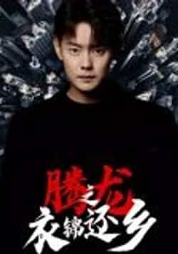 热门短剧腾龙之衣锦还乡邱浩轩30集全集完整版纯净免费在线观看未删减版 百度网盘夸克网盘资源分享下载  第1张