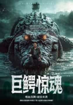 巨鳄惊魂85集沈建主演全集完整版免费在线观看未删减版实时更新 百度网盘夸克网盘资源分享下载