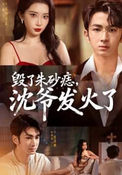 热门短剧毁了朱砂痣，沈爷发火了60集全集 叶森林张璇主演 免费在线观看未删减版 百度网盘夸克网盘秒存资源分享下载