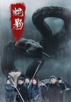 热门短剧蛇影25集全集 刘灵闫一英主演 免费在线观看未删减版 百度网盘夸克网盘资源下载分享  第1张