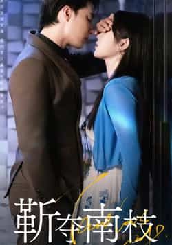 热门短剧靳夺南枝全集完整版免费在线观看，未删减版资源，百度网盘夸克网盘免费分享资源下载  第1张