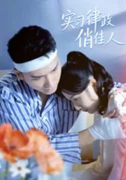 热门短剧实习律政俏佳人最新全集完整版未删减，免费在线观看，百度网盘夸克网盘免费资源分享下载  第1张