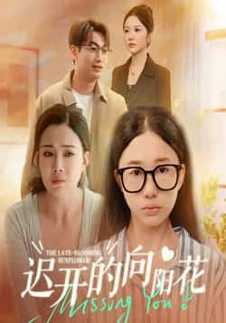 短剧迟开的向阳花全集完整版高清免费在线观看未删减版，百度网盘夸克网盘免费资源分享下载  第1张