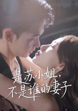 是苏小姐不是谁的妻子全集完整版免费无广告在线观看未删减版，百度网盘夸克网盘短剧资源分享下载  第1张