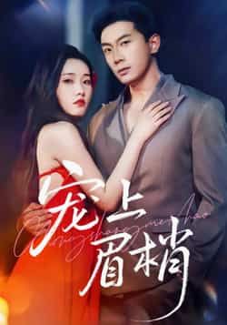 热门短剧宠上眉梢全集完整版极速免费在线观看未删减版，百度网盘夸克网盘免费资源分享下载，热门短剧在线观看未删减资源全收录  第1张