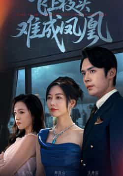 热门短剧《飞上枝头难成凤凰》 全集完整版极速免费在线观看播放未删减版资源,短剧百度网盘夸克网盘免费资源分享下载 第1张 热门短剧《飞上枝头难成凤凰》 全集完整版极速免费在线观看播放未删减版资源,短剧百度网盘夸克网盘免费资源分享下载 第1张