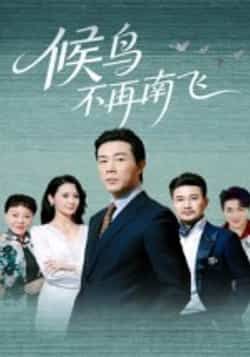 热门短剧候鸟不再南飞全集完整版免费无卡顿在线观看未删减版，百度网盘夸克网盘免费资源分享下载  第1张