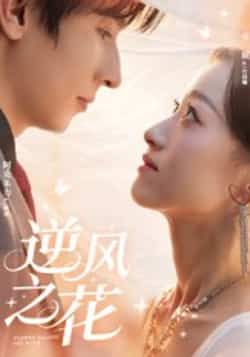 热门短剧逆风之花全集完整版免费在线观看未删减版，百度网盘夸克网盘资源分享下载稳定播放，未删减资源在线看  第1张