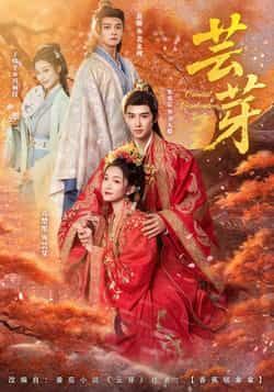 热门短剧芸芽全集完整版免费无需注册在线观看未删减版，百度网盘夸克网盘免费资源分享下载，高清流畅观看资源直达  第1张