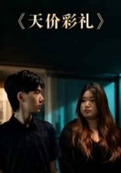 热门短剧天价彩礼全集完整版未删减免费在线观看播放，百度网盘夸克网盘免费资源分享下载  第1张