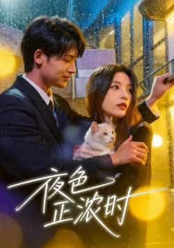 热门短剧夜色正浓时全集完整版实时更新,免费在线观看未删减版,百度网盘夸克网盘资源分享下载,高清流畅更新快 第1张 热门短剧夜色正浓时全集完整版实时更新,免费在线观看未删减版,百度网盘夸克网盘资源分享下载,高清流畅更新快 第1张