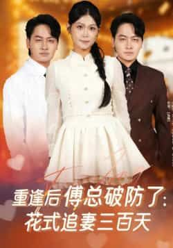 短剧重逢后傅总破防了，花式追妻三百天全集完整版免费稳定在线观看+未删减版，百度网盘夸克网盘资源分享下载  第1张