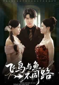 热门短剧飞鸟与鱼不同路全集完整版免费在线观看无卡顿未删减版,百度网盘夸克网盘资源分享下载 第1张 热门短剧飞鸟与鱼不同路全集完整版免费在线观看无卡顿未删减版,百度网盘夸克网盘资源分享下载 第1张