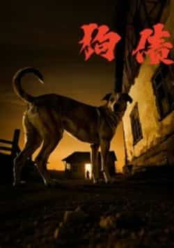 热门短剧狗债全集完整版未删减免费在线观看，百度网盘夸克网盘资源分享下载  第1张