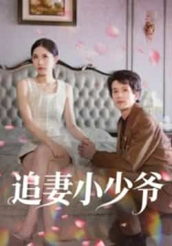 追妻小少爷全集完整未删减版免费在线观看，百度网盘夸克网盘极速资源下载  第1张