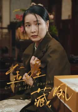 热门短剧金屋藏凤最新全集完整版免费在线观看未删减版，百度网盘夸克网盘资源分享下载  第1张