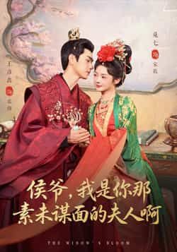 热门短剧侯爷，我是你那素未谋面的夫人啊全集完整版免费在线观看未删减版，百度网盘夸克网盘免费分享资源下载  第1张