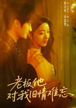 热门短剧老板他对我旧情难忘全集完整版超清免费在线观看未删减版，百度网盘夸克网盘免费资源下载分享  第1张
