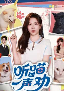 热门短剧《听喵一声劝》 全集完整版免费在线观看播放未删减版资源，短剧百度网盘夸克网盘免费资源下载分享  第1张