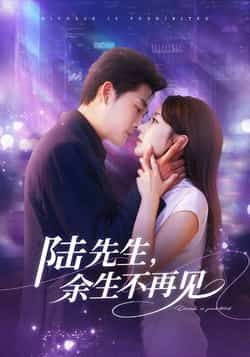 热门短剧《陆先生，余生不再见》 全集完整版高清免费在线观看播放未删减版资源，短剧百度网盘夸克网盘免费资源分享下载  第1张