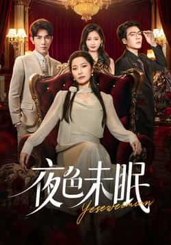 热门短剧夜色未眠全集完整版免费无卡顿在线观看，未删减版资源百度网盘夸克网盘免费分享下载播放  第1张