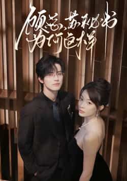 热门短剧顾总，苏秘书为何这样全集完整版免费在线观看，实时更新未删减版，百度网盘夸克网盘资源分享下载  第1张