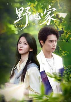 热门短剧《野心家》 全集完整版免费无水印在线观看播放未删减版资源，短剧百度网盘夸克网盘免费资源分享下载  第1张