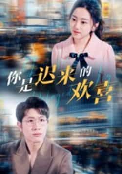 你是迟来的欢喜全集未删减版免费在线观看，百度网盘夸克网盘资源分享下载，热门短剧完整版播放资源  第1张
