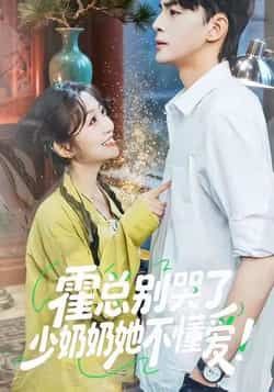 热门短剧霍总别哭了少奶奶她不懂爱全集完整版免费在线观看未删减版，百度网盘夸克网盘免费资源分享下载，稳定播放高清资源  第1张