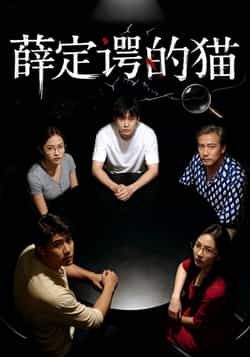 热门短剧薛定谔的猫全集未删减版免费稳定在线观看，百度网盘夸克网盘资源分享下载，完整版播放资源直达  第1张
