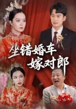 热门短剧坐错婚车嫁对郎全集完整版免费无卡顿在线观看，未删减版资源，百度网盘夸克网盘免费分享下载  第1张