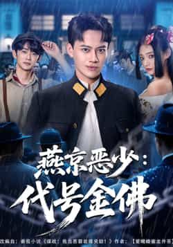 燕京恶少，代号金佛全集完整版高清免费在线观看未删减版，百度网盘夸克网盘免费资源分享下载