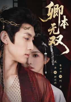 热门短剧卿本无双全集完整版免费在线观看未删减版，百度网盘夸克网盘资源免费分享下载