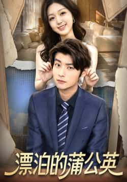 漂泊的蒲公英热门短剧全集完整版未删减免费在线观看，百度网盘夸克网盘资源下载分享