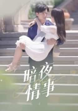 热门短剧暗夜情事最新全集完整版未删减版免费在线观看播放，百度网盘夸克网盘免费资源分享下载