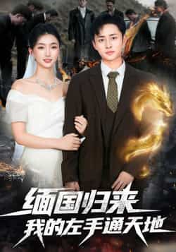 热门短剧缅国归来我的左手通天地全集完整版免费在线观看播放未删减无水印，百度网盘夸克网盘资源分享下载  第1张